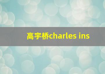 高宇桥charles ins