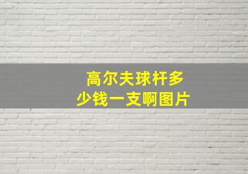 高尔夫球杆多少钱一支啊图片