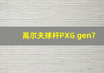 高尔夫球杆PXG gen7