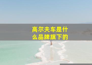 高尔夫车是什么品牌旗下的