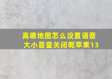 高德地图怎么设置语音大小音量关闭呢苹果13