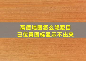 高德地图怎么隐藏自己位置图标显示不出来