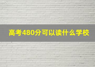 高考480分可以读什么学校