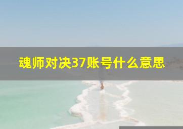 魂师对决37账号什么意思