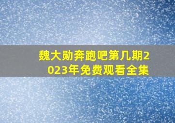 魏大勋奔跑吧第几期2023年免费观看全集