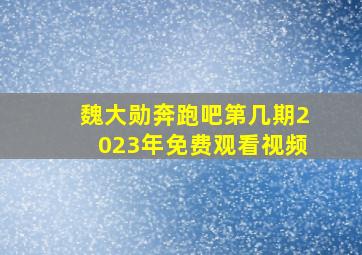 魏大勋奔跑吧第几期2023年免费观看视频