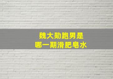 魏大勋跑男是哪一期滑肥皂水