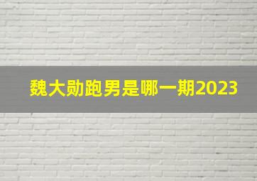 魏大勋跑男是哪一期2023