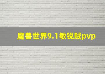 魔兽世界9.1敏锐贼pvp