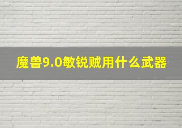 魔兽9.0敏锐贼用什么武器