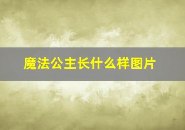 魔法公主长什么样图片