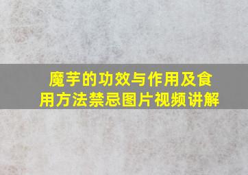 魔芋的功效与作用及食用方法禁忌图片视频讲解