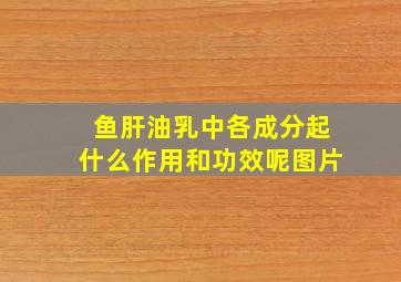 鱼肝油乳中各成分起什么作用和功效呢图片