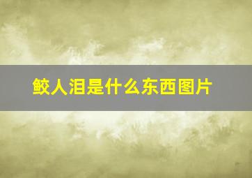 鲛人泪是什么东西图片