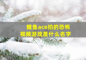 鲤鱼ace拍的恐怖视频游戏是什么名字