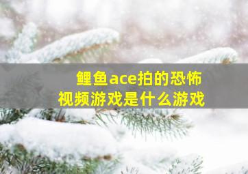 鲤鱼ace拍的恐怖视频游戏是什么游戏