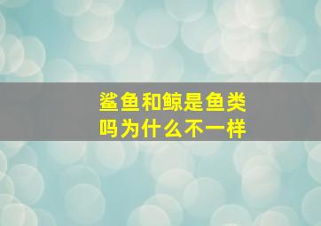 鲨鱼和鲸是鱼类吗为什么不一样