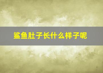 鲨鱼肚子长什么样子呢