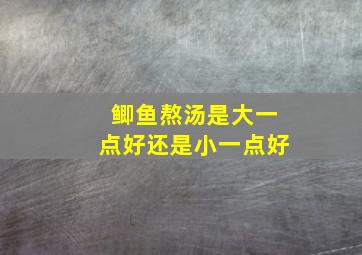 鲫鱼熬汤是大一点好还是小一点好