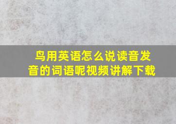 鸟用英语怎么说读音发音的词语呢视频讲解下载