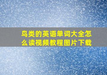 鸟类的英语单词大全怎么读视频教程图片下载