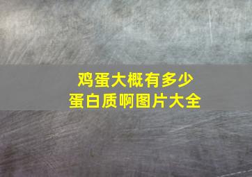 鸡蛋大概有多少蛋白质啊图片大全