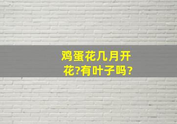 鸡蛋花几月开花?有叶子吗?