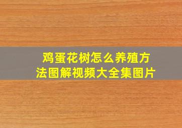 鸡蛋花树怎么养殖方法图解视频大全集图片