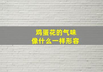 鸡蛋花的气味像什么一样形容