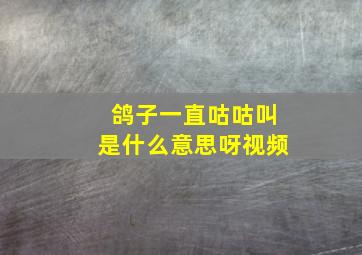 鸽子一直咕咕叫是什么意思呀视频