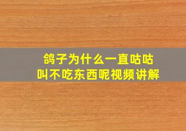 鸽子为什么一直咕咕叫不吃东西呢视频讲解