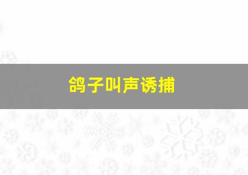 鸽子叫声诱捕