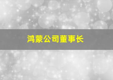 鸿蒙公司董事长