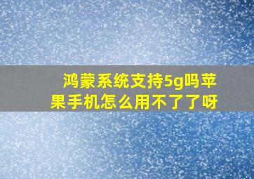 鸿蒙系统支持5g吗苹果手机怎么用不了了呀