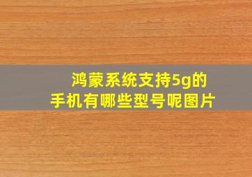 鸿蒙系统支持5g的手机有哪些型号呢图片