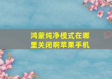 鸿蒙纯净模式在哪里关闭啊苹果手机