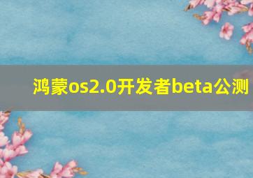 鸿蒙os2.0开发者beta公测