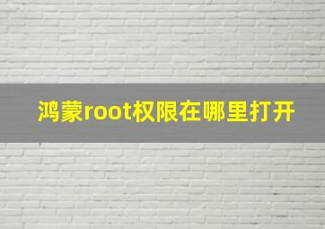 鸿蒙root权限在哪里打开