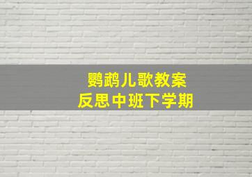 鹦鹉儿歌教案反思中班下学期