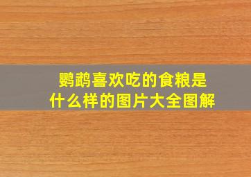 鹦鹉喜欢吃的食粮是什么样的图片大全图解