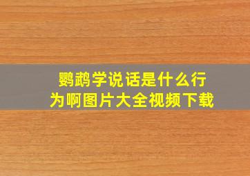 鹦鹉学说话是什么行为啊图片大全视频下载