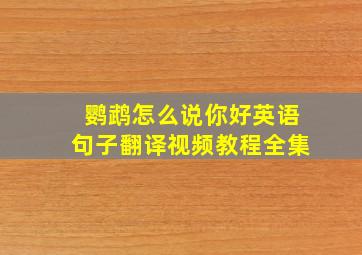 鹦鹉怎么说你好英语句子翻译视频教程全集