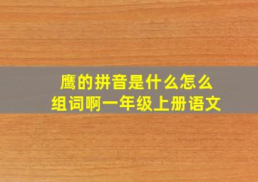 鹰的拼音是什么怎么组词啊一年级上册语文