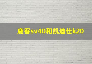 鹿客sv40和凯迪仕k20