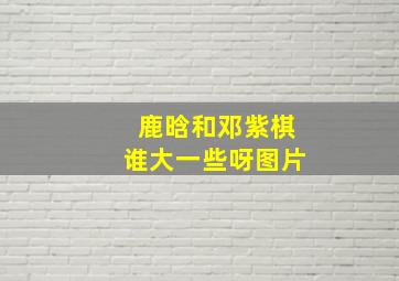 鹿晗和邓紫棋谁大一些呀图片