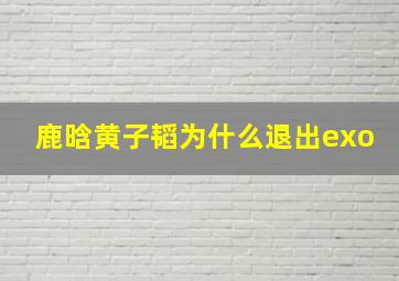 鹿晗黄子韬为什么退出exo