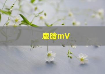 鹿晗mV