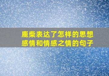 鹿柴表达了怎样的思想感情和情感之情的句子