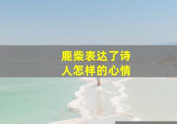 鹿柴表达了诗人怎样的心情