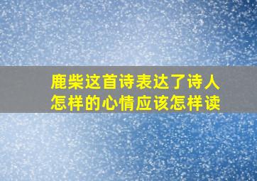 鹿柴这首诗表达了诗人怎样的心情应该怎样读